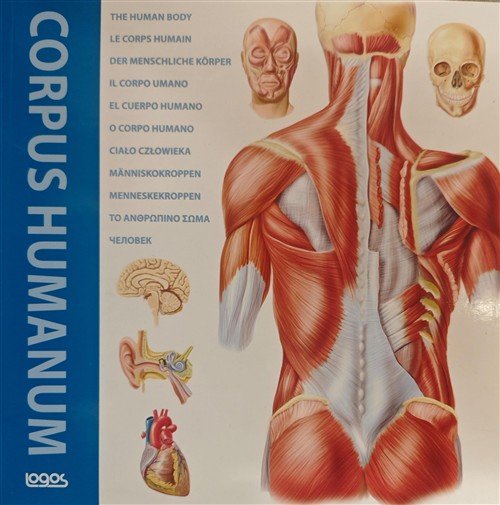 Corpus Humanum. Ediz. Italiana, Inglese, Francese, Spagnola E Tedesca Logos …