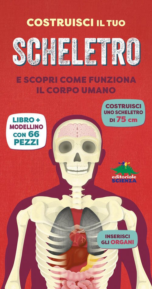 Costruisci Il Tuo Scheletro E Scopri Come Funziona Il Corpo …