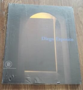 Diego Esposito. Passaggi. Ediz. Trilingue