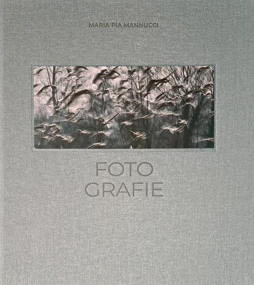 Foto-Grafie | Immagine principale