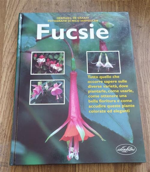Fucsie | Immagine Gallery 2
