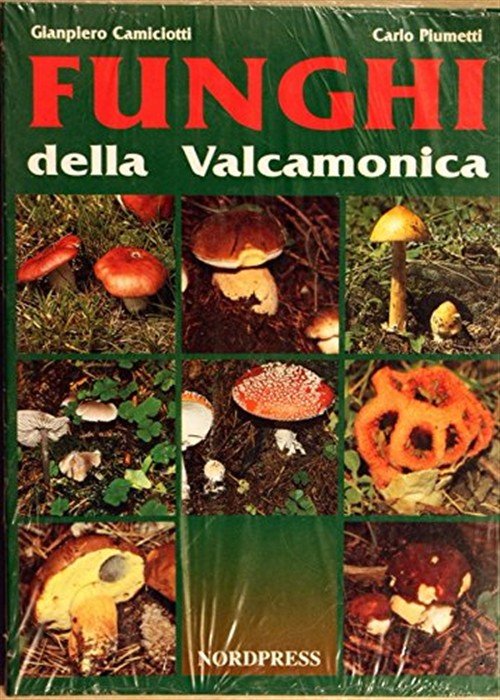 Funghi Della Valcamonica | Immagine principale