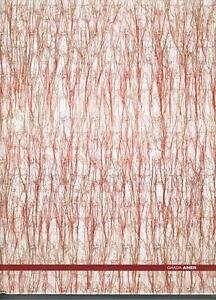Ghada Amer | Immagine Gallery 2