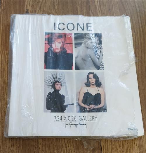 Icone R. Bianco, R. Sadleir Electa 2008