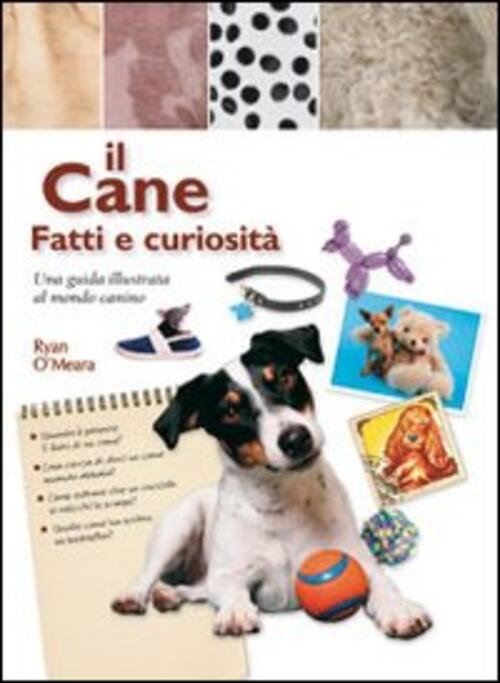 Il Cane. Fatti E Curiosita | Immagine principale