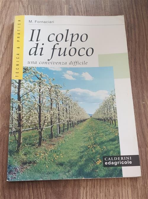 Il Colpo Di Fuoco Una Convivenza Difficile