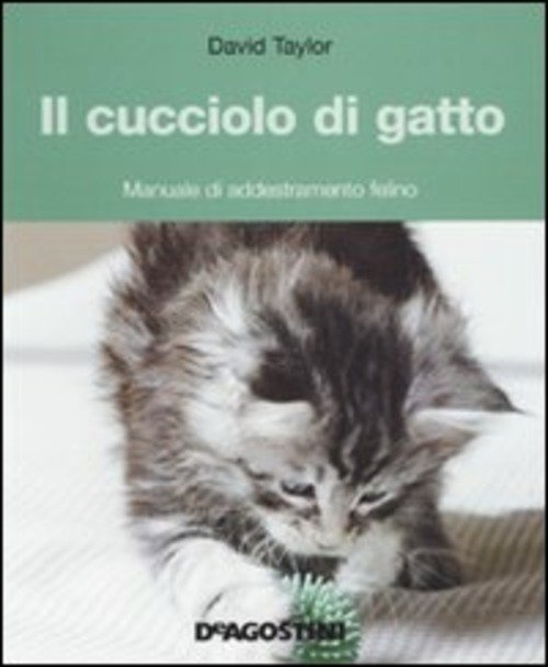 Il Cucciolo Di Gatto. Manuale Di Addestramento Felino | Immagine principale