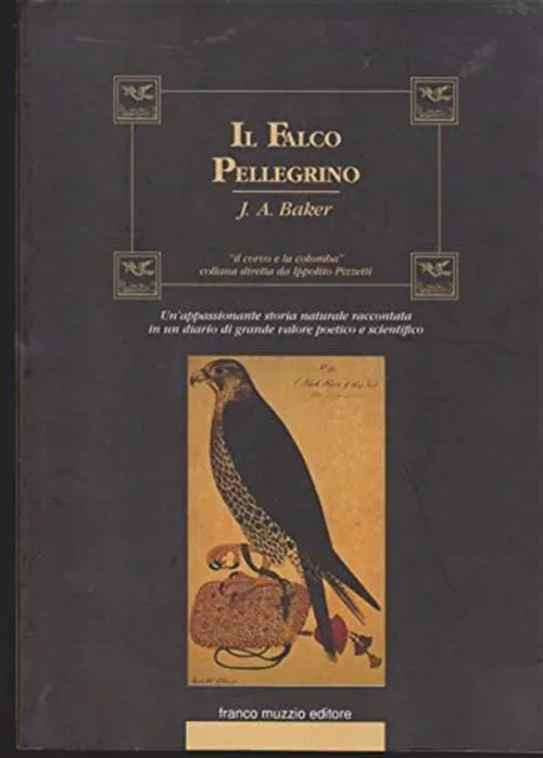 Il Falco Pellegrino | Immagine principale