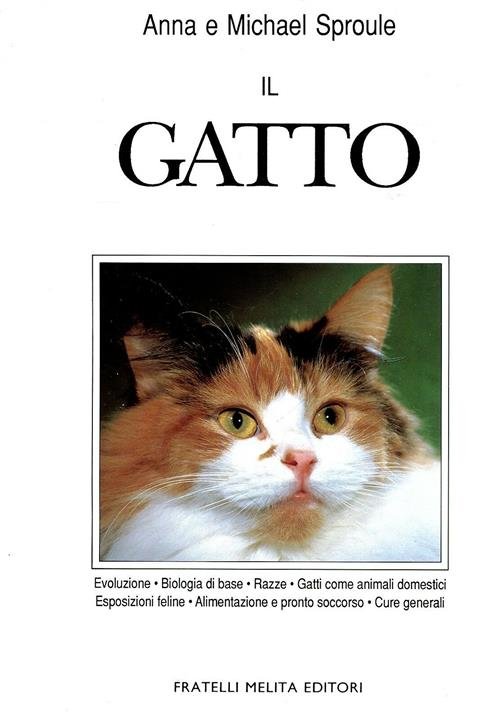 Il Gatto