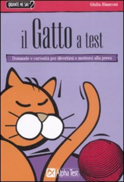 Il Gatto A Test | Immagine principale