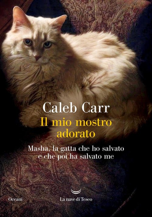 Il Mio Mostro Adorato. Masha, La Gatta Che Ho Salvato E Che Poi Ha ...
