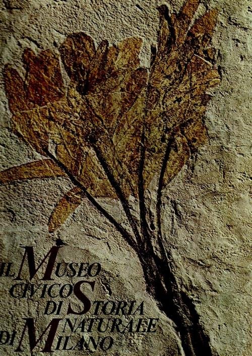 Il Museo Civico Di Storia Naturale Di Milano Cesare Conci … | Immagine principale