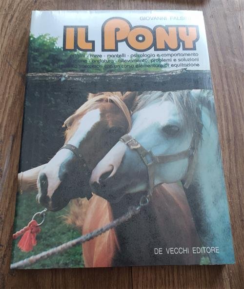 Il Pony | Immagine Gallery 2