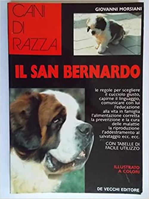 Il San Bernardo | Immagine principale