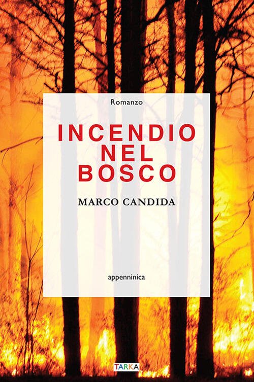Incendio Nel Bosco | Immagine principale