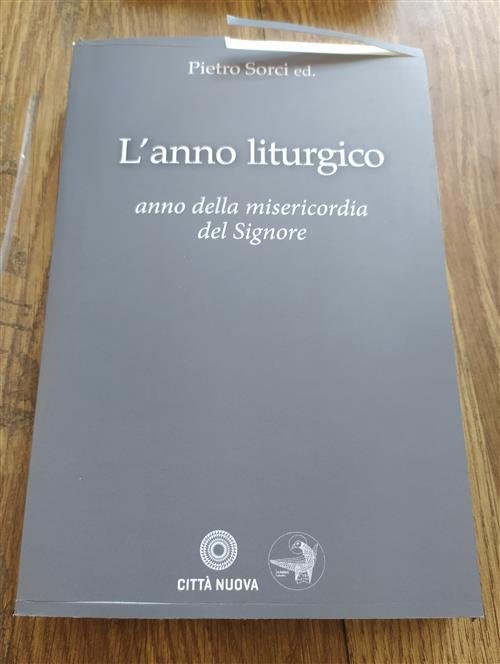L' Anno Liturgico Della Misericordia. Anno Della Misericordia Del Signore