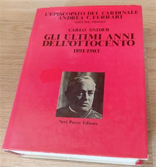 L' Episcopato Del Cardinale Andrea C. Ferrari. Vol. 1: Gli Ultimi Anni Dell'ot