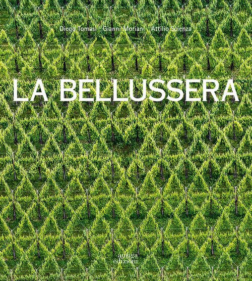 La Bellussera. Storia Di Un'invenzione Che Innovo La Viticoltura Diego …