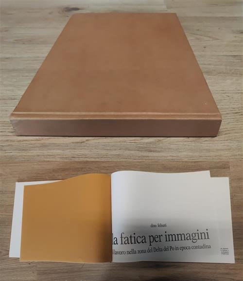 La Fatica Per Immagini. Il Lavoro Nella Zona Del Delta … | Immagine principale