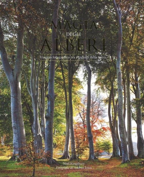 La Magia Degli Alberi. Viaggio Fotografico Tra I Giganti Della …