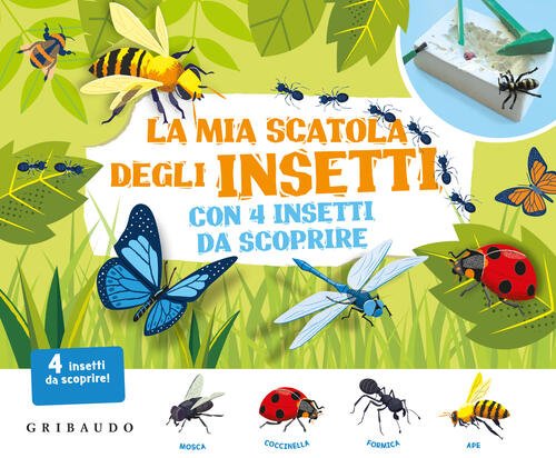 La Mia Scatola Degli Insetti Con 4 Insetti Da Scoprire …