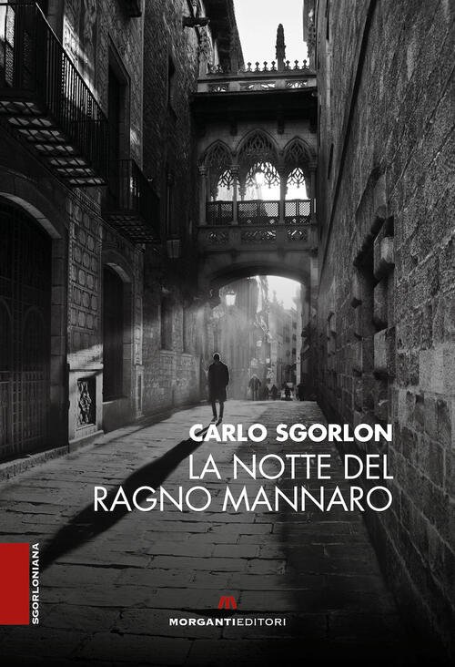 La Notte Del Ragno Mannaro | Immagine principale