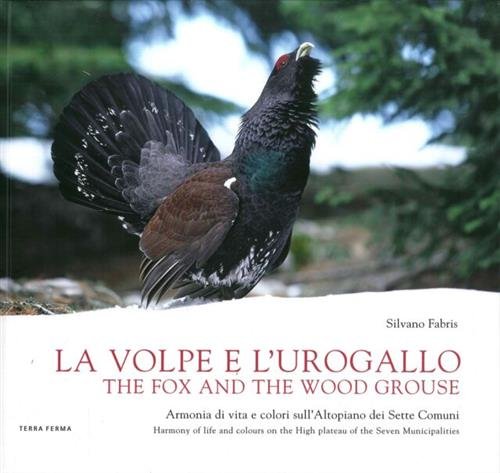 La Volpe E L'urogallo. Armonia Di Vita E Colori Sull'altopiano …