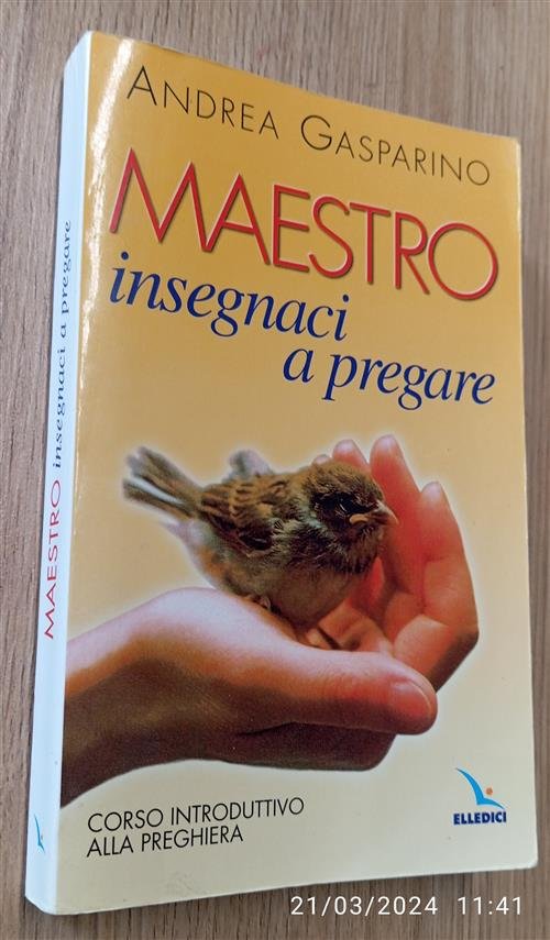 Maestro, Insegnaci A Pregare. Corso Introduttivo Alla Preghiera