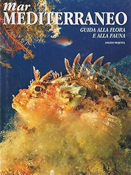 Mar Mediterraneo. Guida Alla Flora E Alla Fauna | Immagine principale