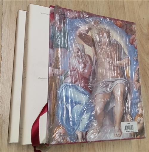 Michelangelo. La Cappella Sistina. Documentazione E Interpretazioni Michelange