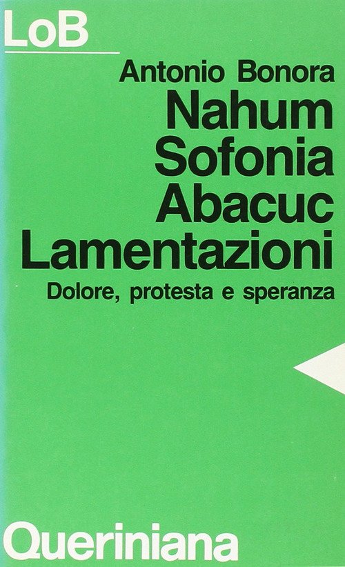 Nahum, Sofonia, Abacuc, Lamentazioni. Dolore, Protesta E Speranza Antonio Bono