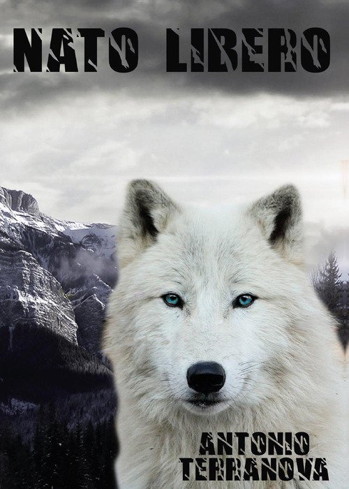 Nato Libero | Immagine Gallery 2