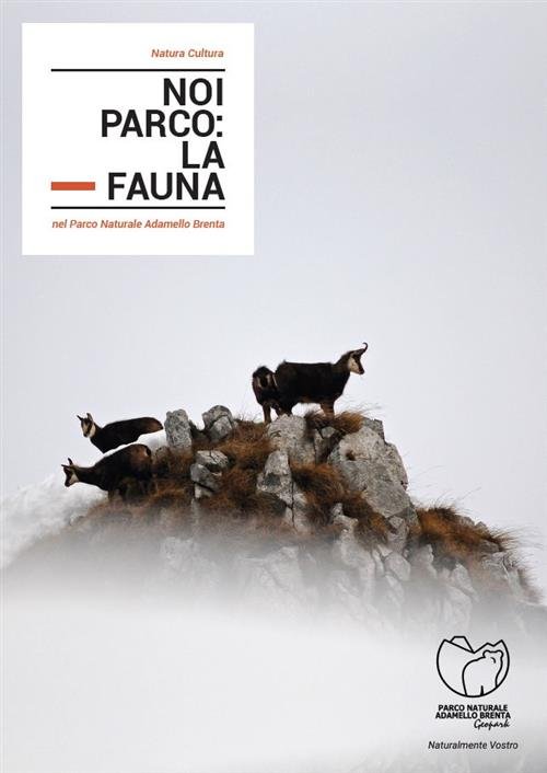 Noi Parco: La Fauna Nel Parco Naturale Adamello Brenta Natura …