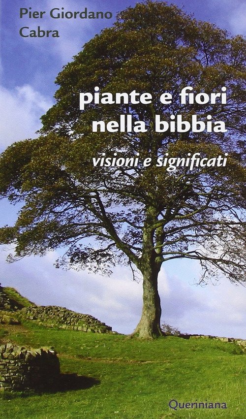 Piante E Fiori Nella Bibbia. Visioni E Significati Pier Giordano …