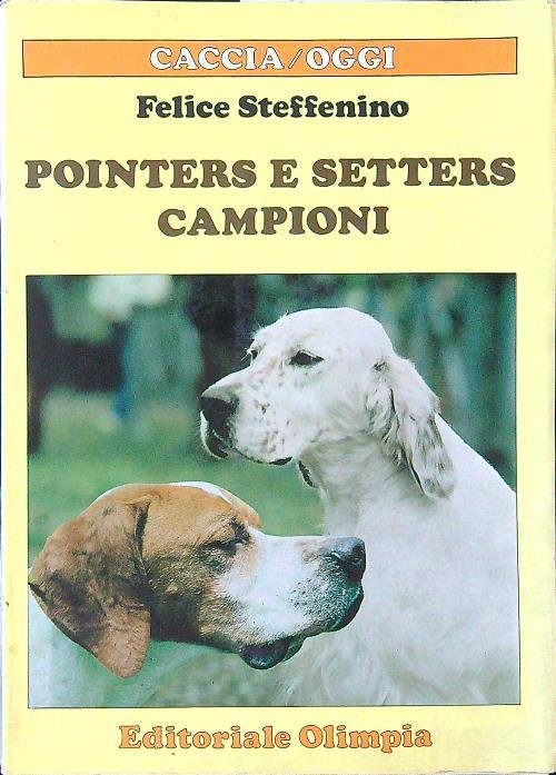 Pointers E Setters Campioni | Immagine principale