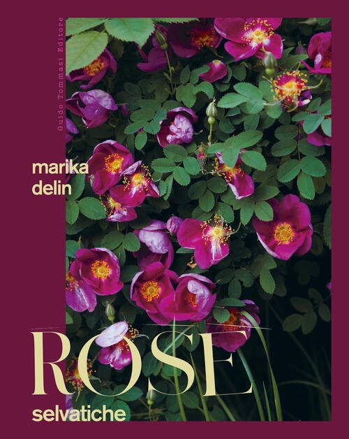 Rose Selvatiche Marika Delin Guido Tommasi Editore-Datanova 2025