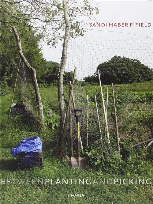 Sandi Haber Fifield. Between Planting And Picking | Immagine Gallery 2
