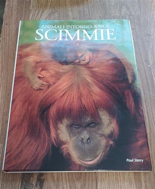 Scimmie | Immagine Gallery 2