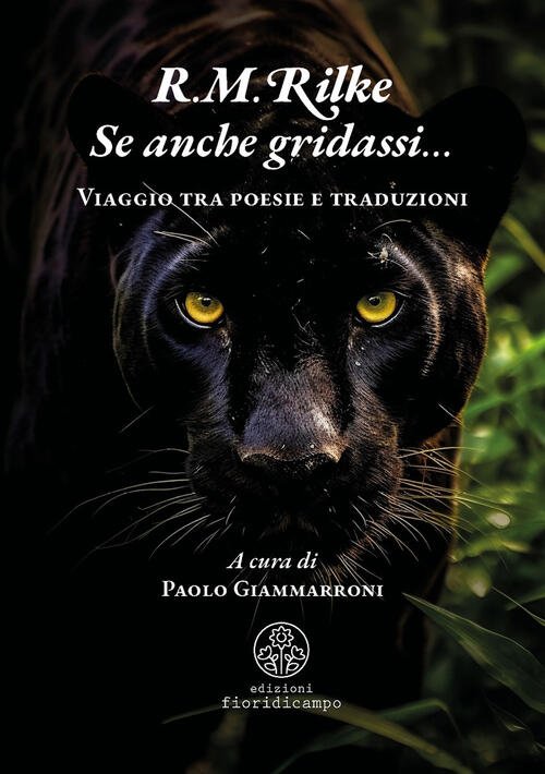 Se Anche Gridassi… Viaggio Tra Poesie E Traduzioni | Immagine principale