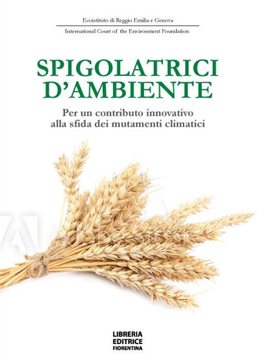 Spigolatrici D'ambiente. Per Un Contributo Innovativo Alla Sfida Dei Mutamenti …