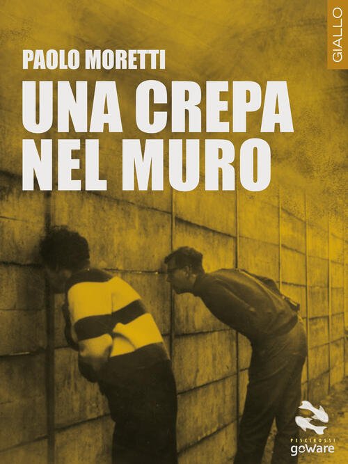 Una Crepa Nel Muro | Immagine principale
