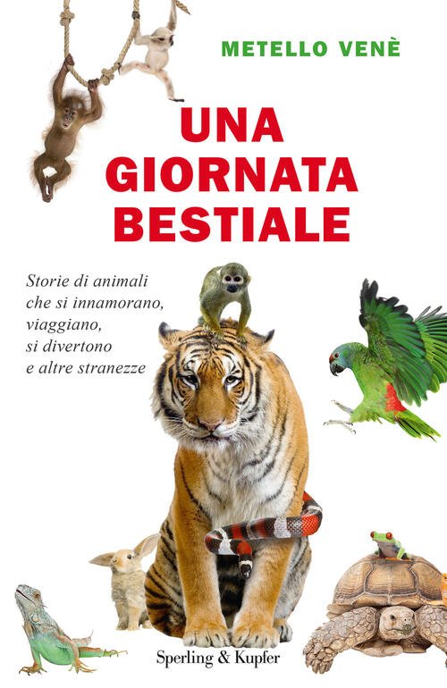 Una Giornata Bestiale. Storie Di Animali Che Si Innamorano, Viaggiano, …