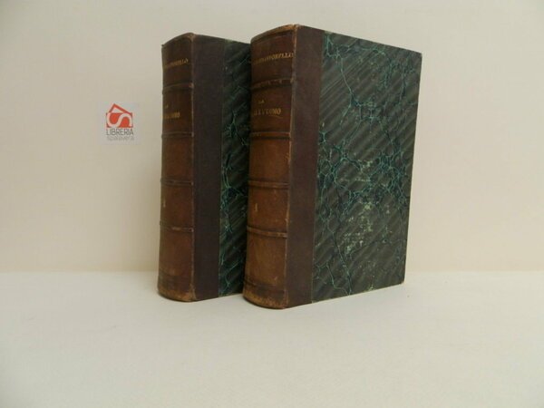 La terra e l'uomo secondo l'opera di Federico di Hellwald … | Immagine principale