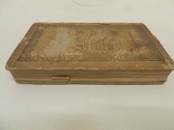 Nuova guida della cittÃ e contorni di Firenze con la …