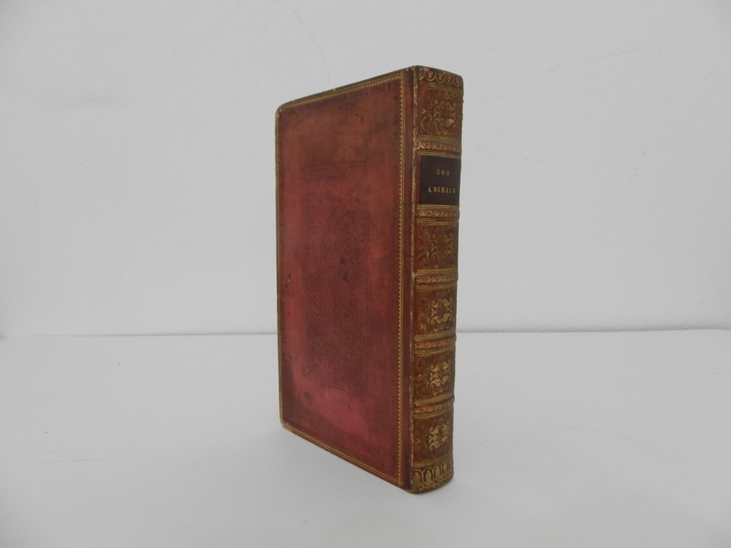 A description of more than three hundred animals. Interspersed with …