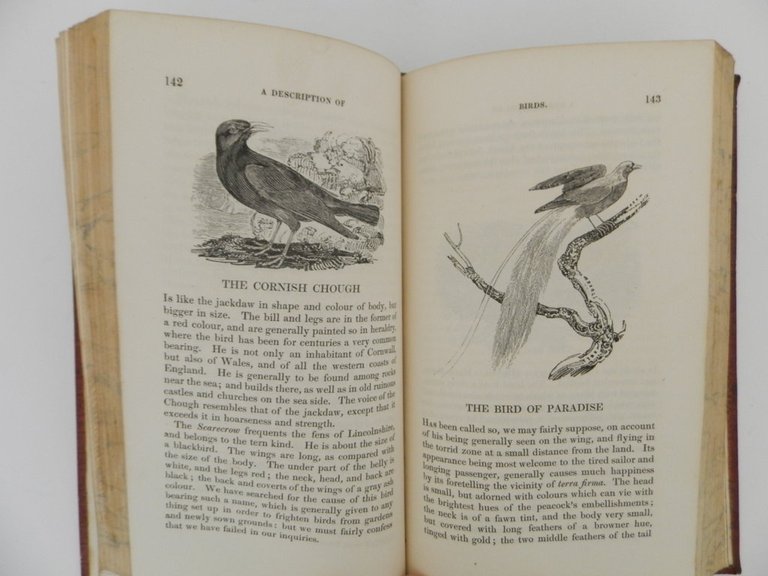 A description of more than three hundred animals. Interspersed with …