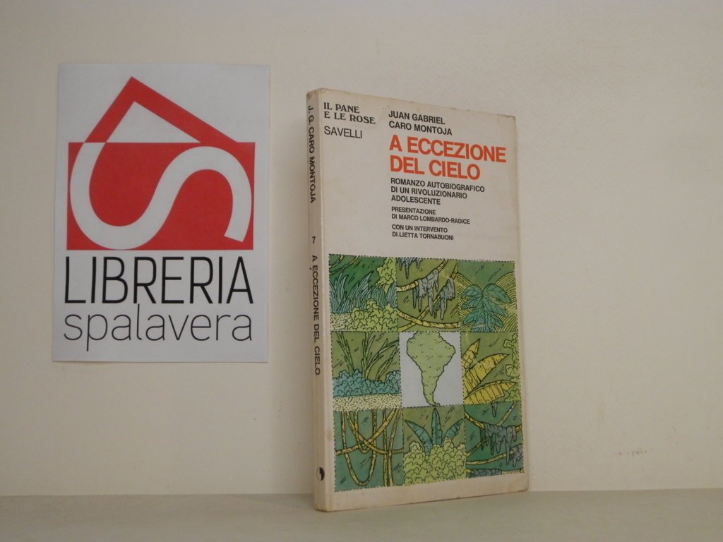 A eccezione del cielo