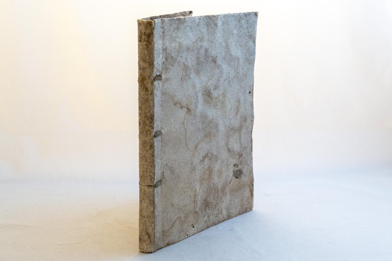 Aelia Laelia Crispis non nata resurgens in expositione legali co. …