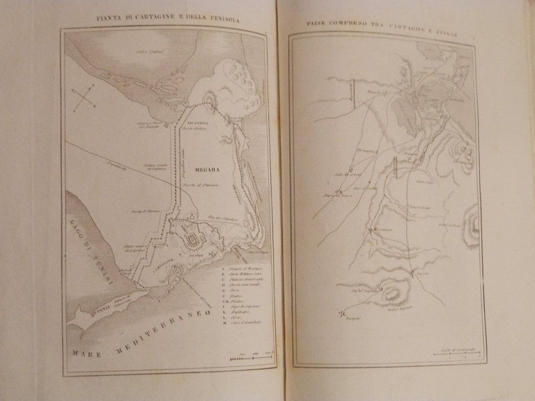 Africa. Schizzo generale dell'Africa ed Africa antica. Cartagine. Numidia e …