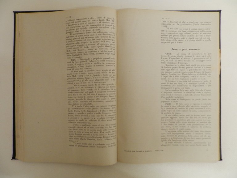 Armi portatili ed artiglierie